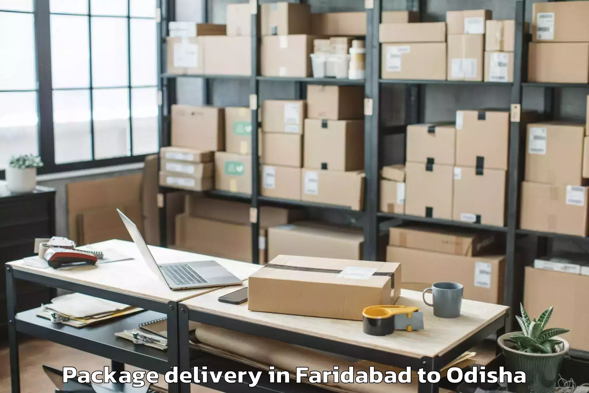 Book Faridabad to Khallikot Package Delivery Online